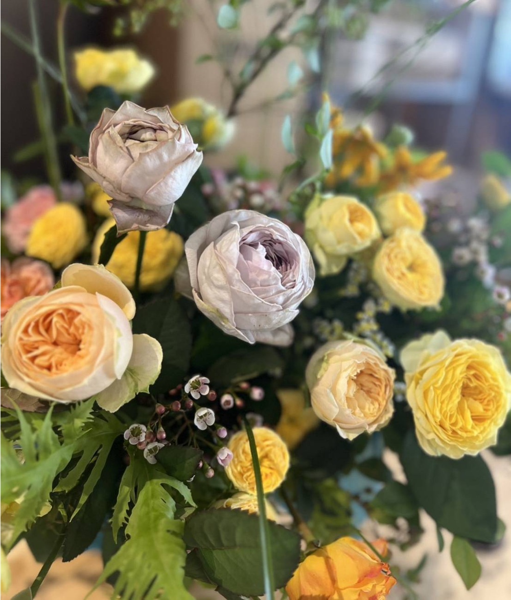 (1372)プレミアムローズ 花束 バラ お花 プレゼント 贈答 贈り物 藤野バラ園 フルール縁 長門市