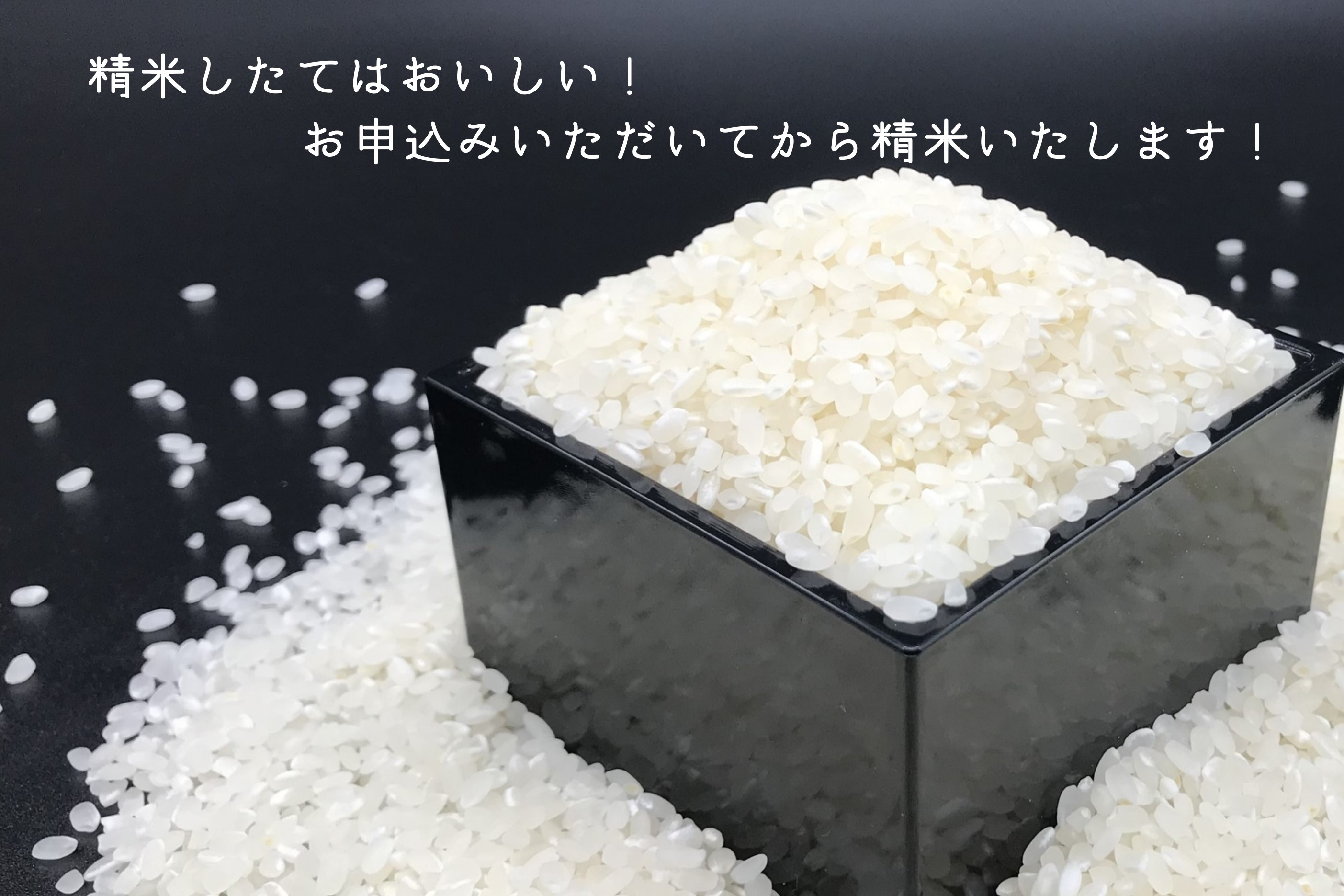 (1613)定期便 ながとのこめ こしひかり 白米 1kg×10袋 毎月 全3回 合計30kg コシヒカリ 精米 長門市 