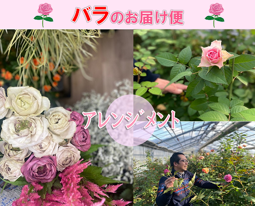(1257)フラワー　花　バラ　バラ園　アレンジメント　お届け便　山口県　贈り物　ギフト