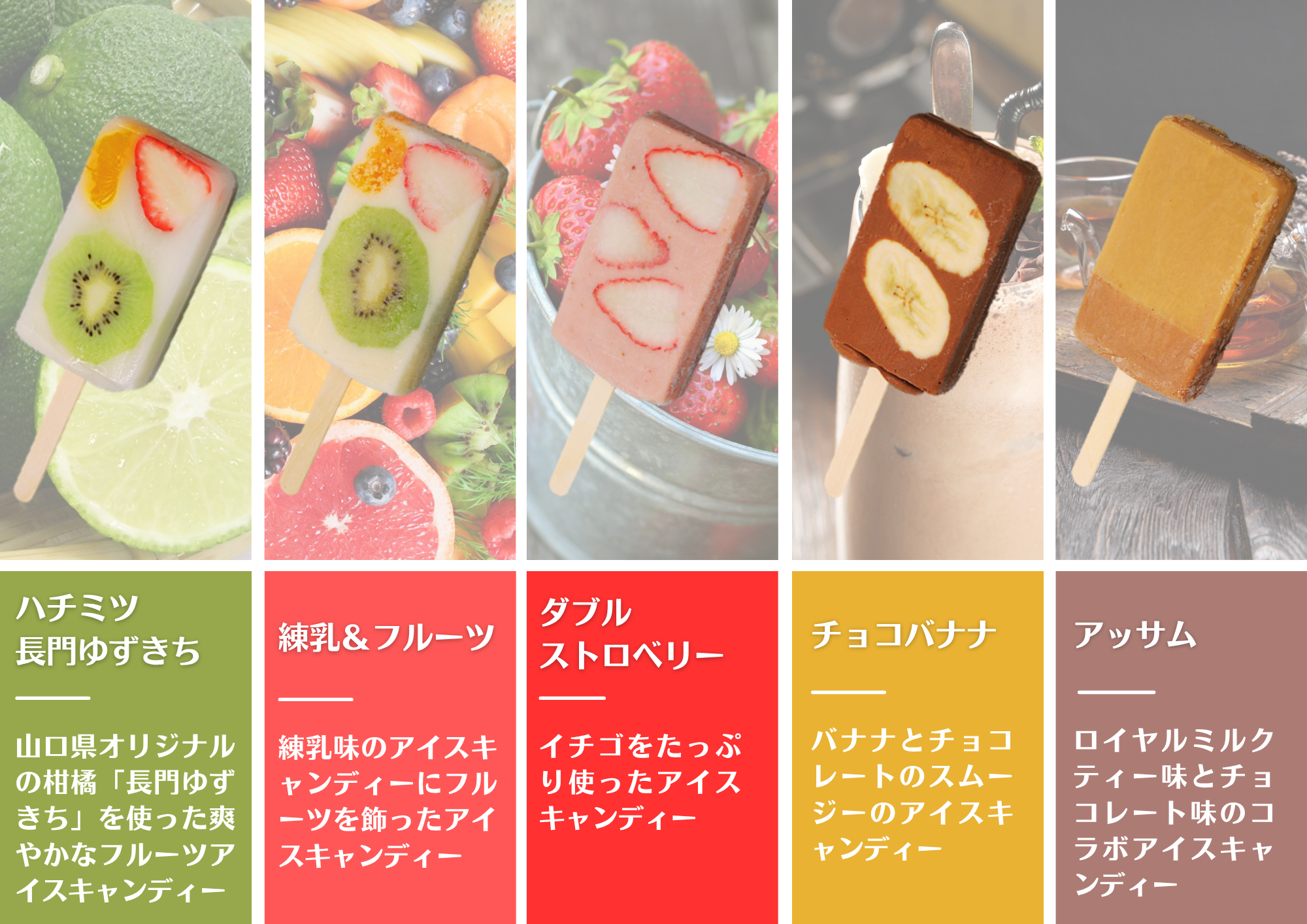 (1152)アイスバー アイスキャンディー パティシエが作るアイスバー 10本セット 人気 詰め合せ