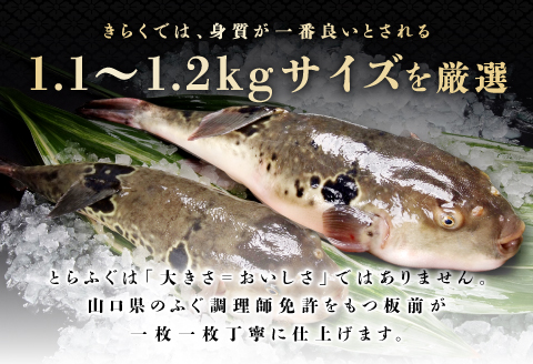 (250001)とらふぐ刺身　定期便コース【隔月10皿（10人前）×6ヶ月】
