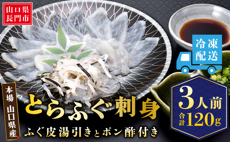 (10103)とらふぐ 刺身 1人前 × 3皿 合計120g 小皿 小分け ふぐ刺し 海鮮 冷凍