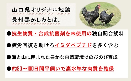 (10051)鶏肉 小分け 地鶏 国産 冷凍 希少 400g 長州黒かしわ もも肉 パック ガラスープセット 深川養鶏