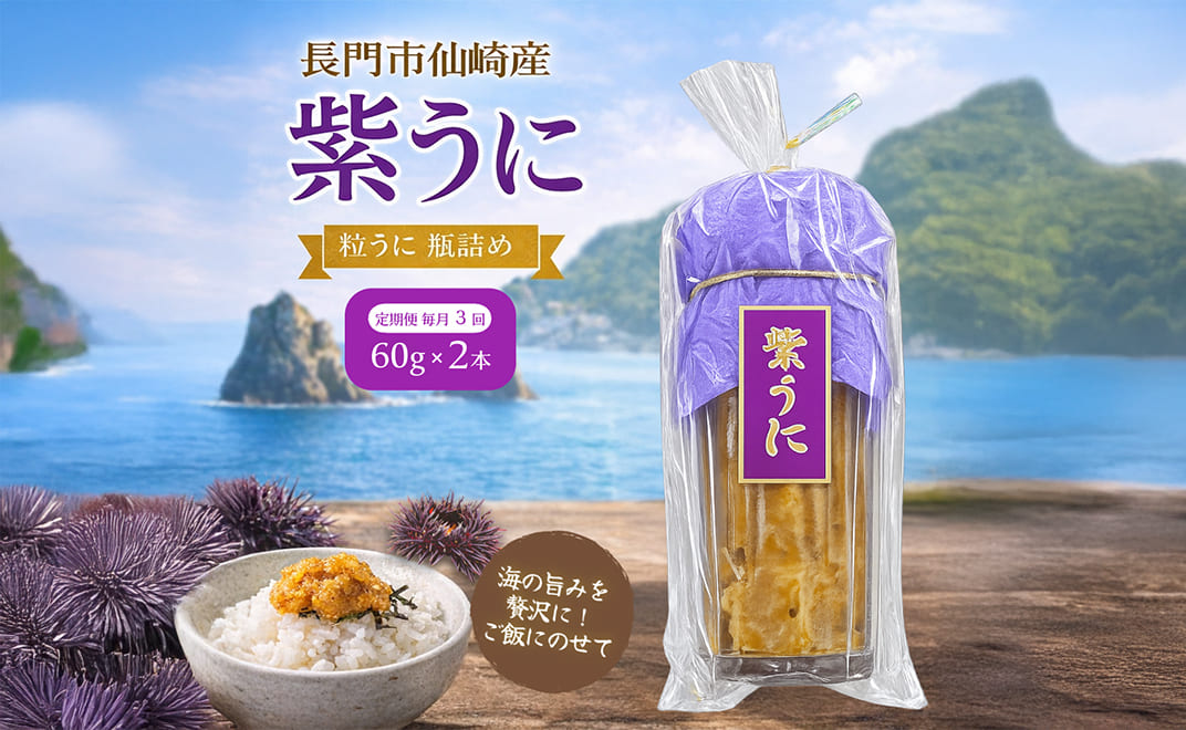 (1617) 【定期便】瓶詰めウニ 天然 ムラサキウニ 最高級 1回2本セット 毎月発送 全3回 60g×6本 合計360g 長門市
