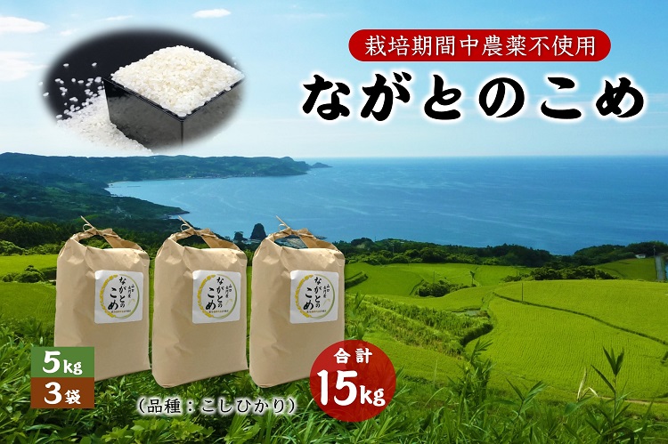 (1365)ながとのこめ こしひかり 白米 5kg×3袋 合計15kg コシヒカリ 精米 長門市 