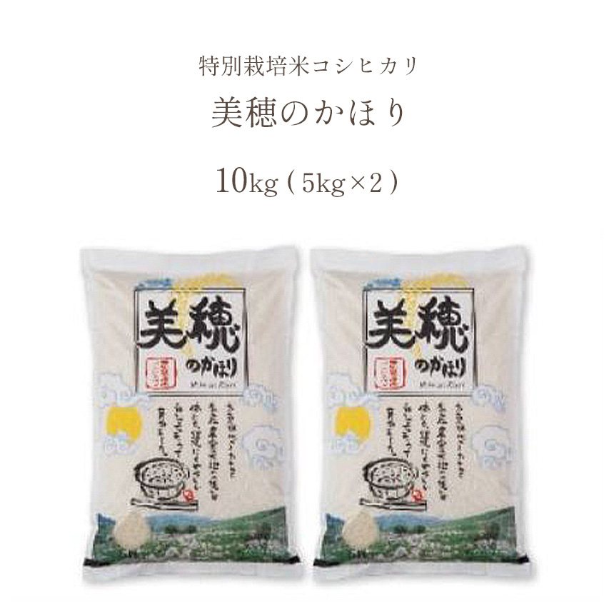 特別栽培米コシヒカリ 美穂のかほり 10kg(5kg×2)｜山口県美祢市