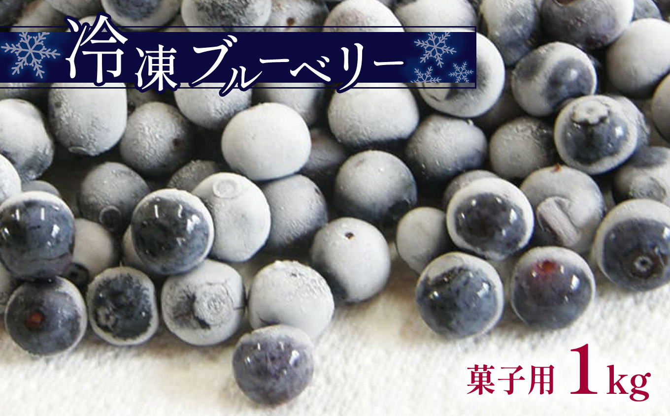 冷凍ブルーベリー (菓子用)|山口県美祢市