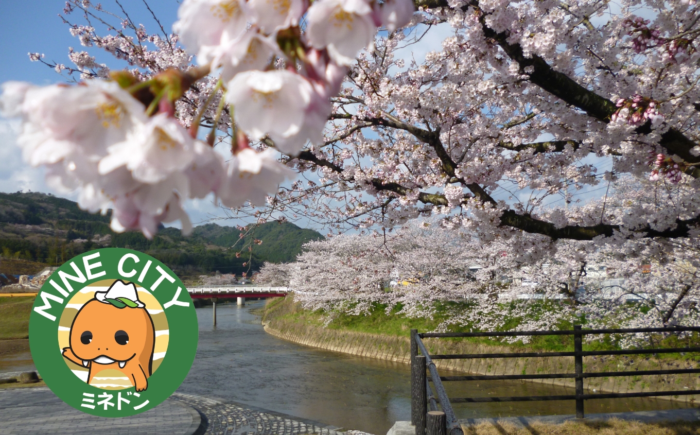 市長にお任せする