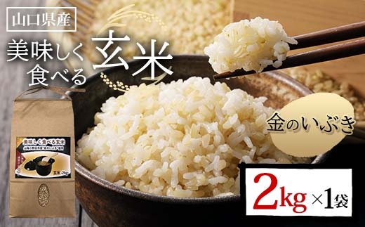 ＜先行予約＞美味しく食べる玄米 2kg 玄米 金のいぶき 定期便 ご当地 グルメ 食品  米 お米 コメ ごはん ご飯 F6L-1344