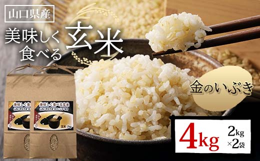 美味しく食べる玄米 計4kg 2kg×2袋 玄米 金のいぶき 小分け 定期便 ご当地 グルメ 食品  米 お米 コメ ごはん ご飯 F6L-1345