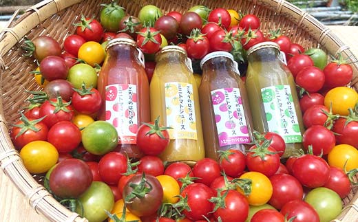 大人気 ごろうのはたけ カラフルミニトマトジュース 180ml×6本 トマト カラフルトマト ミニトマト ジュース 野菜 ご当地 グルメ 飲料 ギフト 贈り物  飲み物 F6L-1321