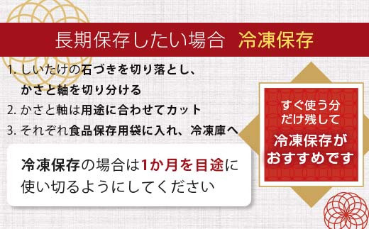 天然水仕込み生しいたけ 2種混合 約500g 農家直送 生しいたけ 椎茸 どんこ 混合 ミックス ご当地 グルメ 食品 1万円以下  きのこ キノコ 野菜 F6L-934