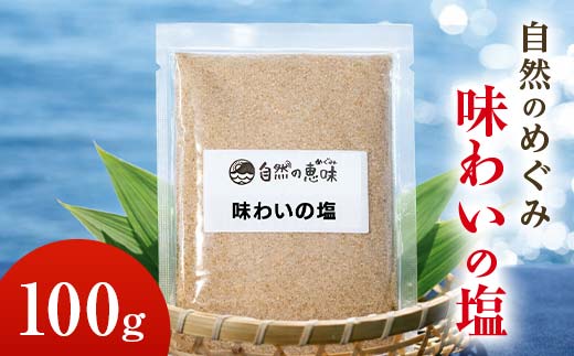 自然のめぐみ「味わいの塩」 100g ブレンド塩 食塩 天然塩 岩塩 安全  F6L-1409