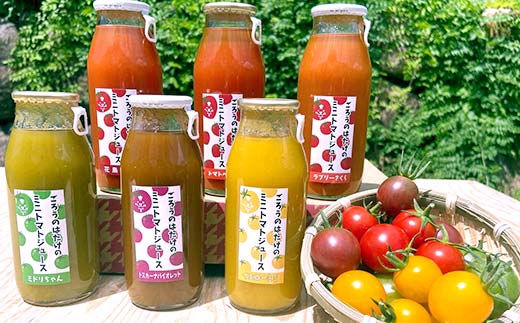 大人気 ごろうのはたけ カラフルミニトマトジュース 180ml×6本 トマト カラフルトマト ミニトマト ジュース 野菜 ご当地 グルメ 飲料 ギフト 贈り物  飲み物 F6L-1321