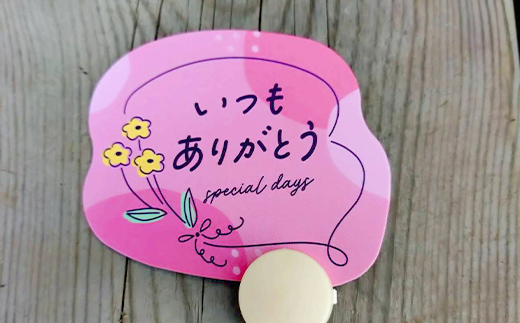 【母の日ギフト用】生産農場直送！季節の花苗セット (9ポット程度) 花苗 苗 セット 寄せ植え 花壇 ガーデニング F6L-1446