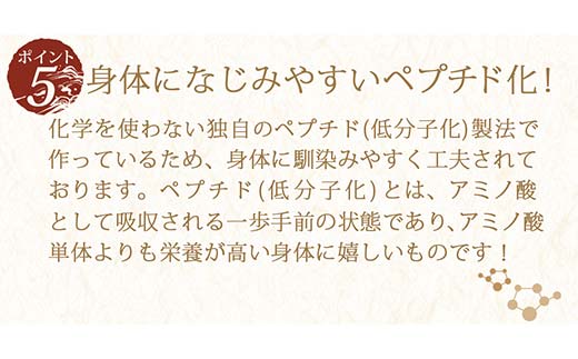 【定期便 6回／隔月】自然の恵味だし〜無添加プレミアム「お魚を丸ごと食べるペプチド＆栄養スープ」 300g×2パック 出汁 無添加 食品 あわせ出汁 いわし カツオ 昆布  だし ダシ お出汁 調味料 F6L-1405