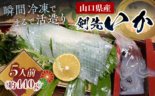 瞬冷まるで活造り！天然 剣先イカ 5人前程度 いか イカ 烏賊 活造り 刺身 おつまみ おかず 肴 魚介類 魚介 海鮮 海の幸 海産物 食品  F6L-044