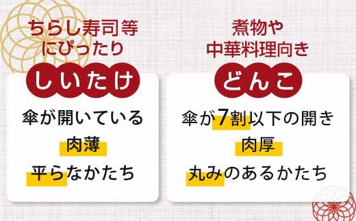 天然水仕込み生しいたけ 2種混合 約500g 農家直送 生しいたけ 椎茸 どんこ 混合 ミックス ご当地 グルメ 食品 1万円以下  きのこ キノコ 野菜 F6L-934