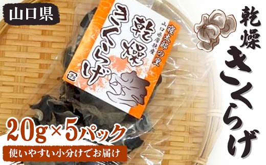 乾燥きくらげ 20g×5パック 100g 小分け 使いやすい きくらげ 乾燥 小分け 乾物 保存食 低カロリー 料理 ご当地 グルメ 食品 山口県 山陽小野田 F6L-650