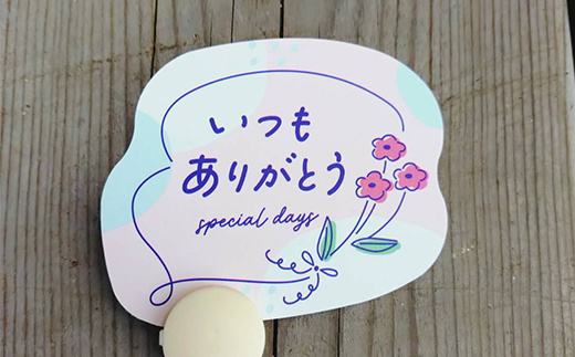 【母の日ギフト用】生産農場直送！季節の花苗セット (9ポット程度) 花苗 苗 セット 寄せ植え 花壇 ガーデニング F6L-1446