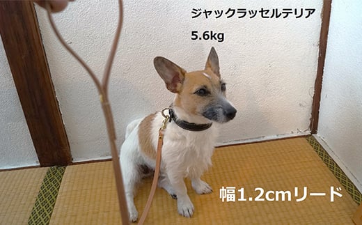 《色・幅が選べる》本革製犬用リード ロング長さ約120cm ＜ネーム刻印可能＞ 国産牛ヌメ革 ハンドメイド レザー 本革 犬用 ペット リード 革製品 ネーム 刻印 名入れ 贈り物 ギフト  雑貨 F6L-399