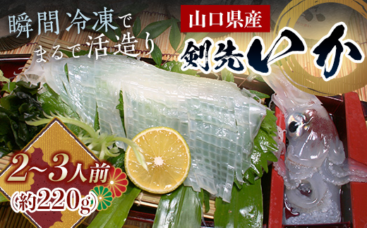 瞬冷まるで活造り！天然 剣先イカ 2〜3人前程度 いか イカ 烏賊 活造り 刺身 おつまみ おかず 肴 魚介類 魚介 海鮮 海の幸 海産物 食品  F6L-043