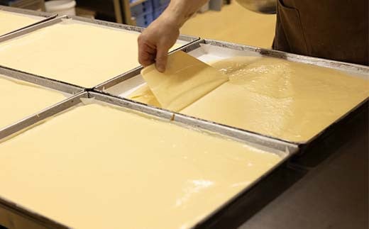 é·å·ããŒã« 16ã»ã³ã 1æ¬ ã·ã¥ãŠçå° çã¯ãªãŒã çã·ã¥ãŠããŒã« ãã¶ãŒã ããã¢ã¡ãŸã³ ãã ãã äººæ° åè§£å æ°æèŠ å±±å£ç å±±éœå°éç°åž F6L-1140