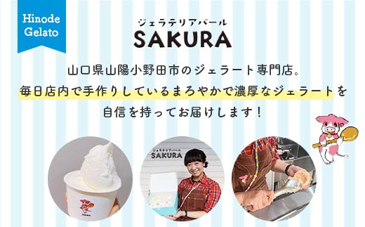 大人気！ヒノデジェラートセット 計6個 2種×各3個 みるく 山口きららみるく ジェラート 食べ比べ セット ミルク 牛乳 山口きらら牛乳 アイスクリーム デザート ご当地 グルメ 食品  スイーツ 菓子 F6L-970