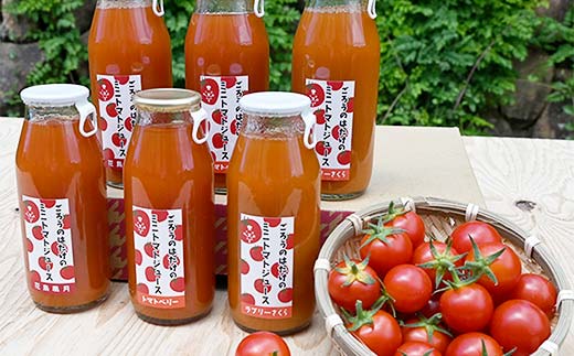 大人気 ごろうのはたけ ミニトマトジュース 180ml×6本 トマト ミニトマト ジュース 野菜 ご当地 グルメ 飲料 ギフト 贈り物  飲み物 F6L-1320