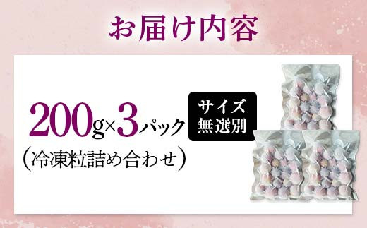 「冷凍ぶどう」200g×3パック（600g） フルーツ ぶどう 葡萄 ブドウ 山口県 山陽小野田市 ふるさと納税  デザート 果物 くだもの 果実 食品 F6L-1074