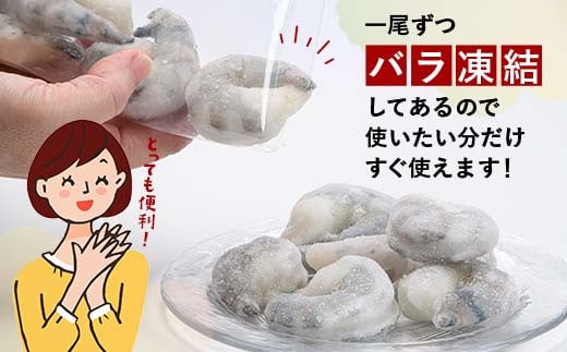 ブラックタイガーむきえび 1kg×3回定期便（2ヶ月ごとに3回発送） エビ 海老 むき身 海鮮 魚介類 無添加 バラ凍結 保水剤不使用 下処理済み  海の幸 えび 魚介 海産物 加工品 食品 F6L-1126