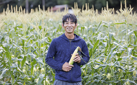 朝採りとうもろこし 10本セット とうきび トウキビ トウモロコシ コーン 野菜 食品 F6L-1413