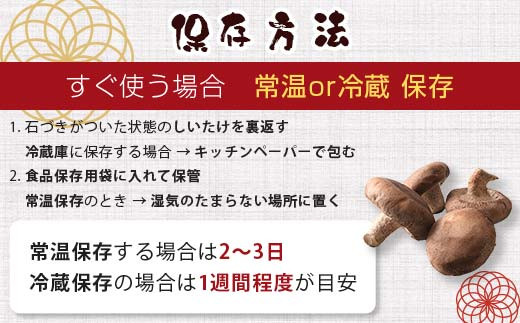 天然水仕込み生しいたけ 2種混合 約500g 農家直送 生しいたけ 椎茸 どんこ 混合 ミックス ご当地 グルメ 食品 1万円以下  きのこ キノコ 野菜 F6L-934