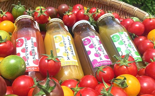 大人気 ごろうのはたけ カラフルミニトマトジュース 180ml×6本 トマト カラフルトマト ミニトマト ジュース 野菜 ご当地 グルメ 飲料 ギフト 贈り物  飲み物 F6L-1321