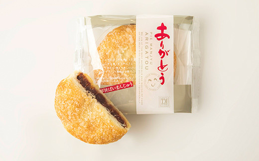 ありがとうパイ 10個入り 菓子 焼き菓子 おかし スイーツ デザート グルメ 食品  焼菓子 お茶菓子 おやつ お菓子 洋菓子 F6L-1084