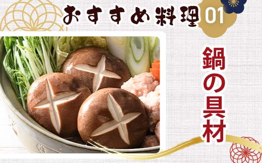 天然水仕込み生しいたけ 2種混合 約500g 農家直送 生しいたけ 椎茸 どんこ 混合 ミックス ご当地 グルメ 食品 1万円以下  きのこ キノコ 野菜 F6L-934