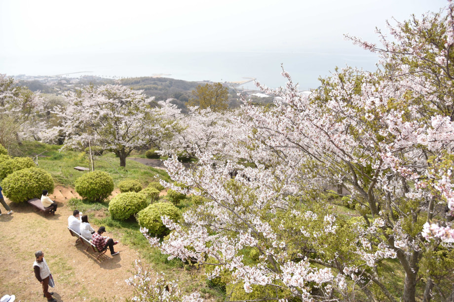 驛ス蟶ょ渕逶、