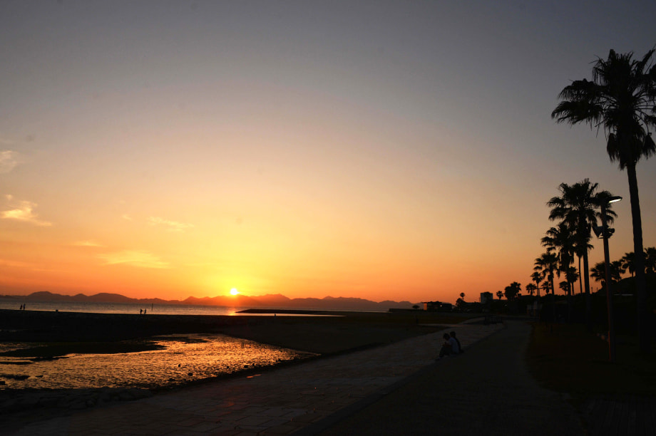 逕」讌ュ繝サ隕ウ蜈