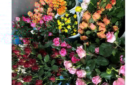 縺翫∪縺九○阮碑枚シ抵シ先悽