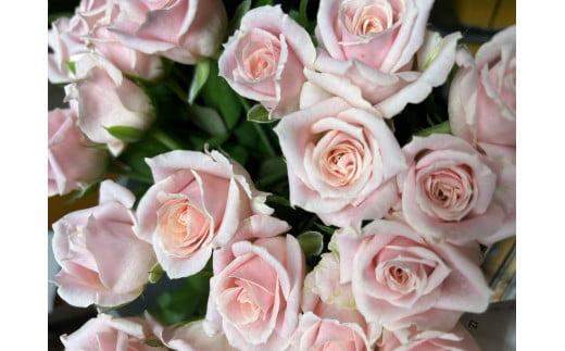 縺翫∪縺九○阮碑枚シ抵シ先悽