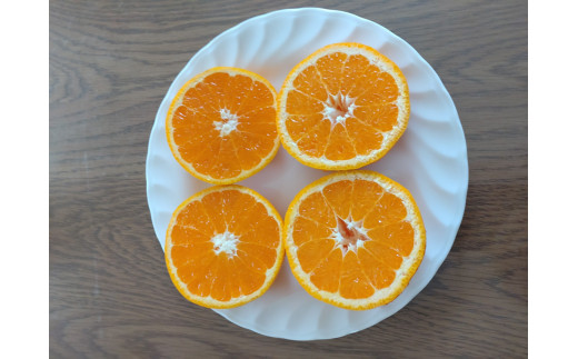 【周防大島産】せとみ（晩柑類） 5kg