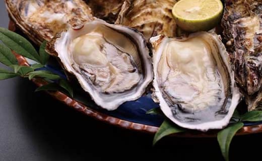★期間限定★手のひらサイズで開けやすい！天然！殻付き岩牡蠣　5個【先行受付開始！2026年5月15日以降のお届け】