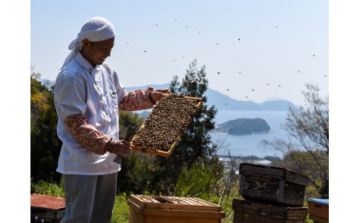 “瀬戸内のハワイ”周防大島の３種はちみつ食べ比べセット