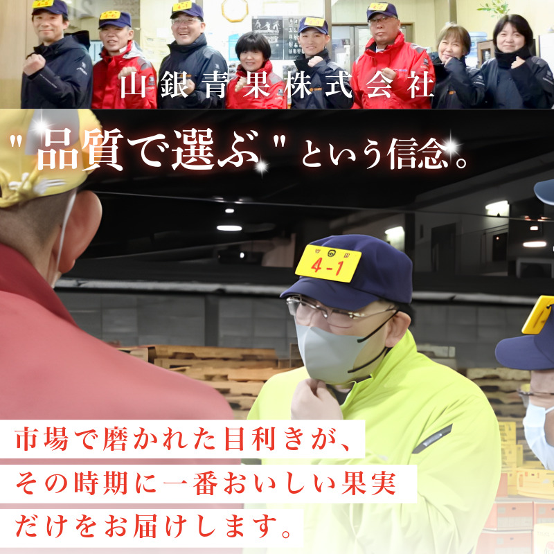 フルーツ ＆ 野菜 定期便 選べる 2回 果物 季節 旬 詰め合せ 国産 おまかせ 産地直送 シャインマスカット いちご みかん デコポン 桃 メロン 八朔 梨 柿 あたご柿 徳島