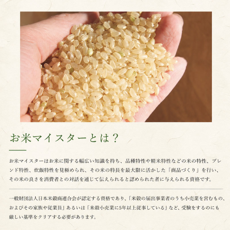 コシヒカリ 10kg 令和7年産 徳島県産 米 お米 国産 白飯 ご飯 精米 白米 こしひかり こめ コメ おこめ おむすび おにぎり 弁当 美味しい 徳島