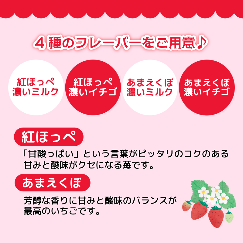 いちご ジェラート 食べ比べセット 12個 4種 いちご 苺 フルーツ 紅ほっぺ あまえくぼ 果物 旬 ジェラート アイス 夏 ギフト 夏ギフト プチギフト 国産 食べ比べ セット 冷たい 贈り物 冷凍 おやつ
