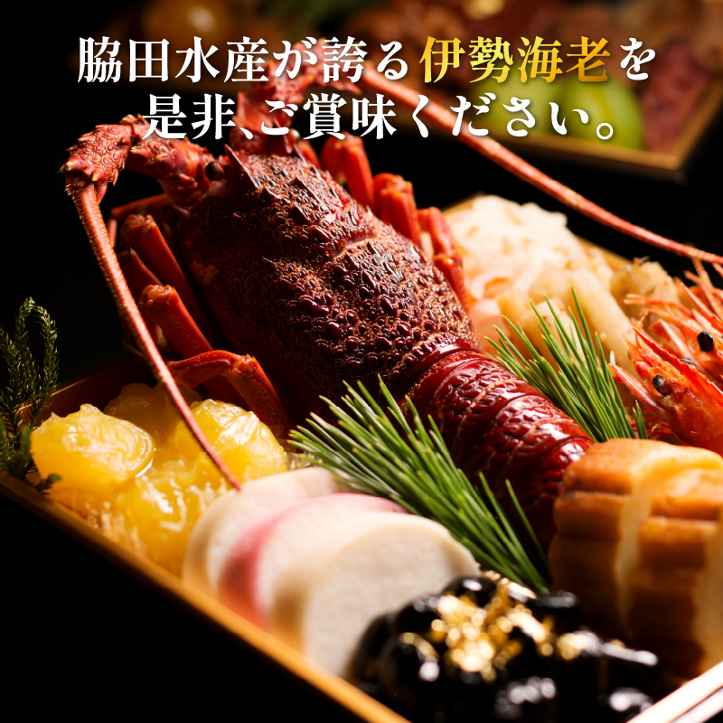 伊勢海老 200g 5尾 えび エビ 高級 伊勢 伊勢えび 鮮魚 海鮮 魚介 刺身 焼き物 汁物 イセエビ 海老 正月 おせち ギフト 贈答 贈り物 祝い 歳暮 中元 年末 年始 ebi 徳島 阿南 【年末年始 発送対応可能です！】