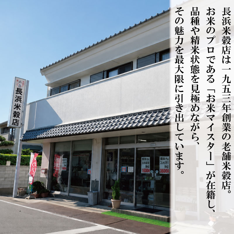 コシヒカリ 10kg 令和7年産 徳島県産 米 お米 国産 白飯 ご飯 精米 白米 こしひかり こめ コメ おこめ おむすび おにぎり 弁当 美味しい 徳島