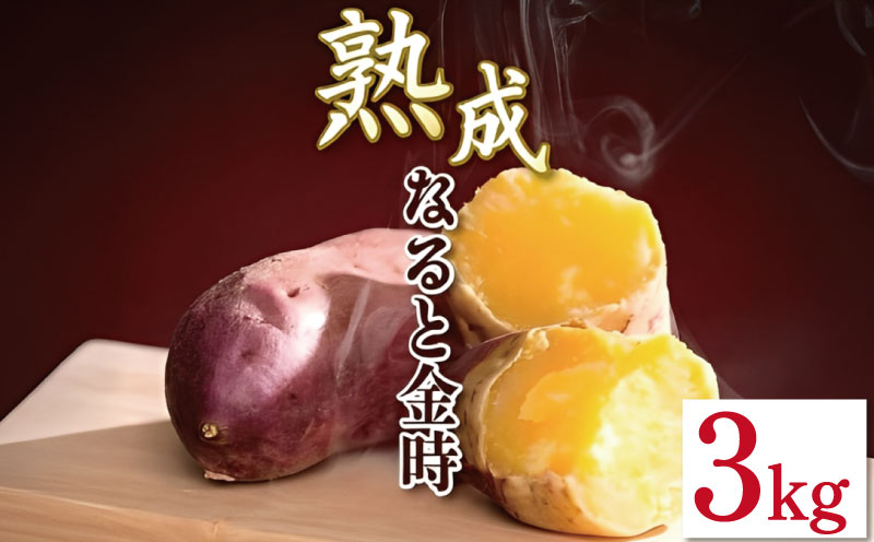 なると金時 3kg Sサイズ 野菜 さつまいも 焼き芋 芋 鳴門金時 なると金時 ヤサイ やさい 食材 新鮮 旬 産地直送 徳島 鳴門