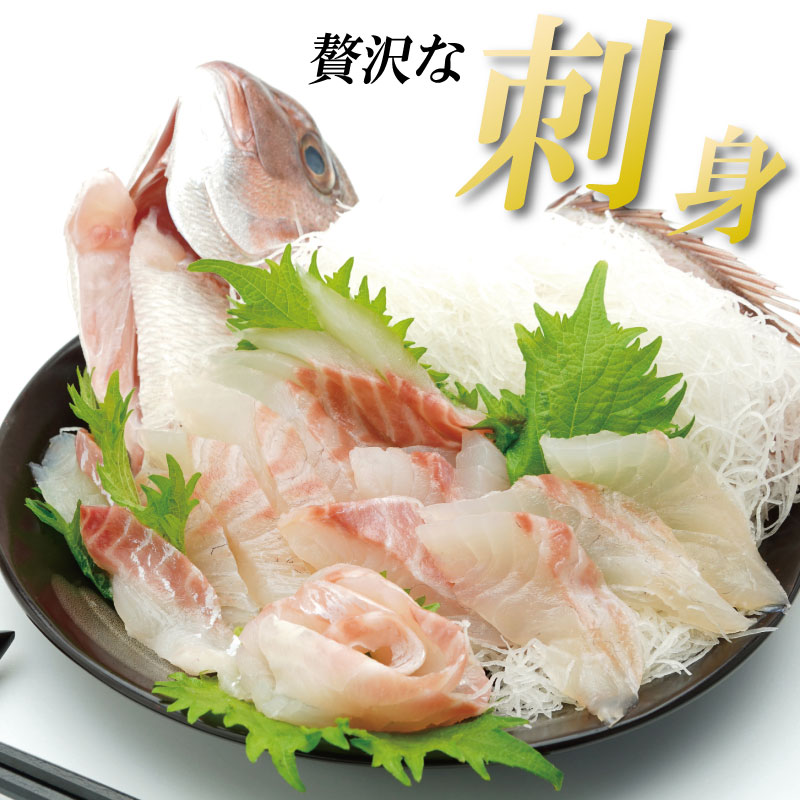 鳴門鯛 1kg 《 ラウンド 1尾 》 鯛 1尾 刺身 タイ 天然 鳴門 鯛 下処理 対応 塩焼き 鯛めし 祝い鯛 おせち 正月 しゃぶしゃぶ 鯛しゃぶ 鍋 年末年始 徳島 魚 市場